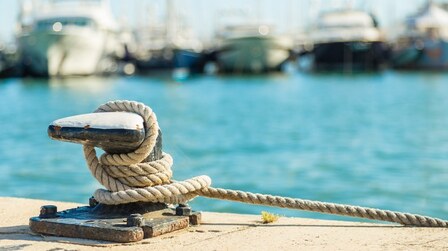 8 Best Boat Anchors for Lakes of 2026
