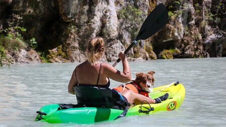 6 Best Inflatable Kayaks for Dogs of 2026 6 Best Inflatable Kayaks for Dogs of 2026