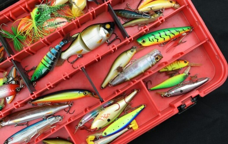 What Do You Need For Rock Fishing?