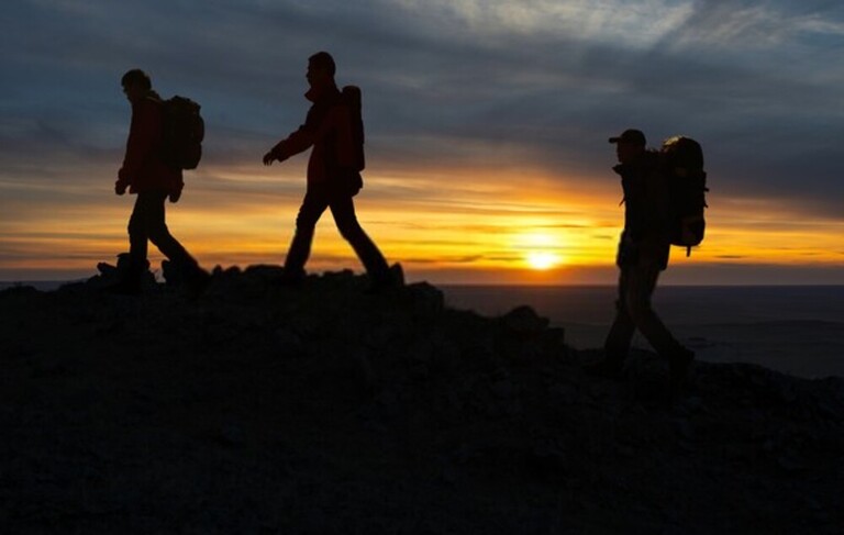 How Do You Protect Yourself Against Snakes When Hiking?