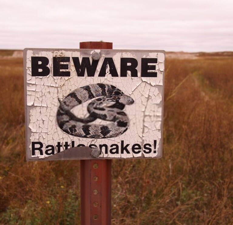 How Do You Protect Yourself Against Snakes When Hiking?