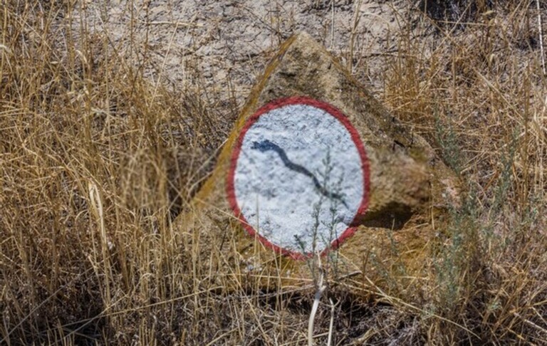 How Do You Protect Yourself Against Snakes When Hiking?