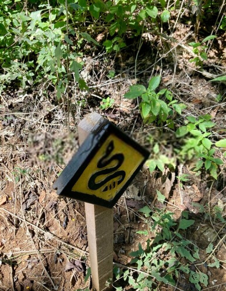 How Do You Protect Yourself Against Snakes When Hiking?