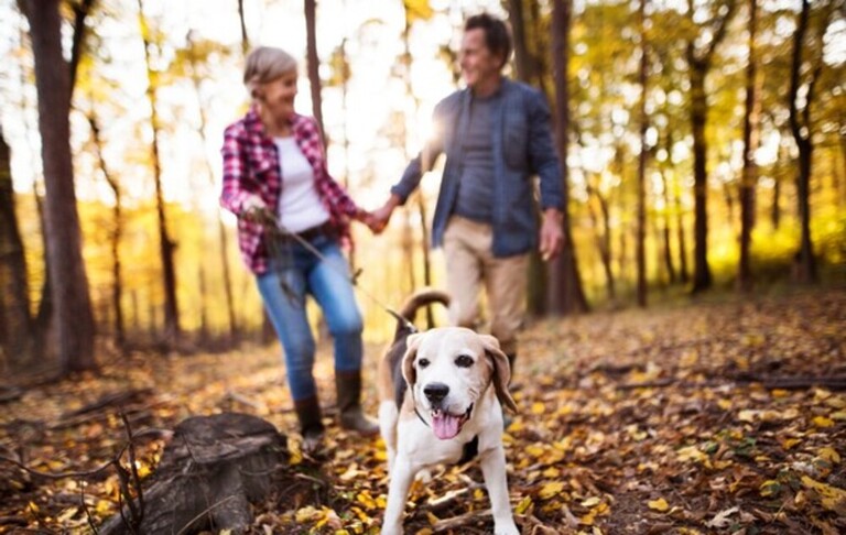 How Do You Protect Yourself Against Snakes When Hiking?