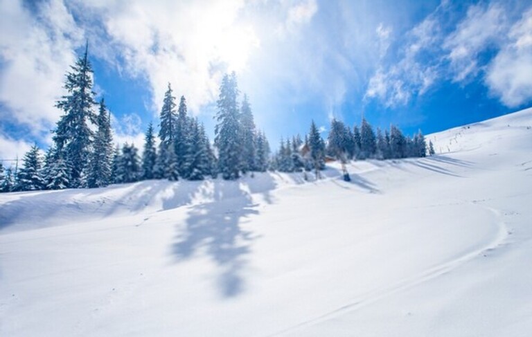 How To Stake Down A Tent Securely In Deep Snow?