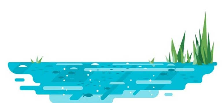 How To Fish With Soft Plastics In Saltwater?