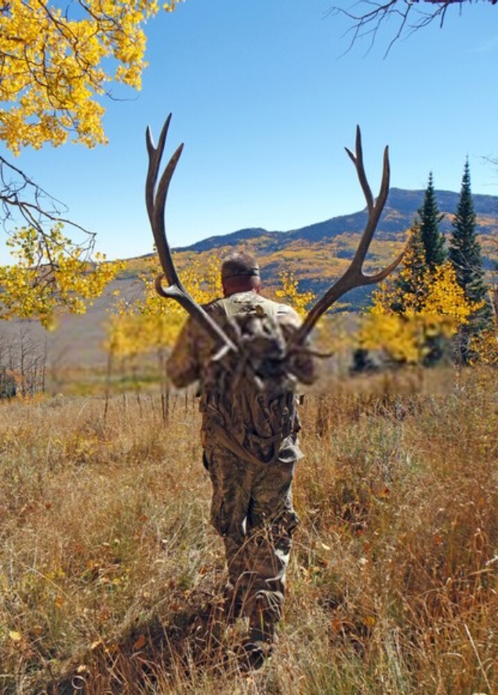 Elk Hunting Mistakes To Avoid