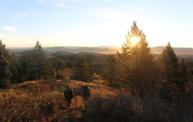 Elk Hunting Mistakes To Avoid