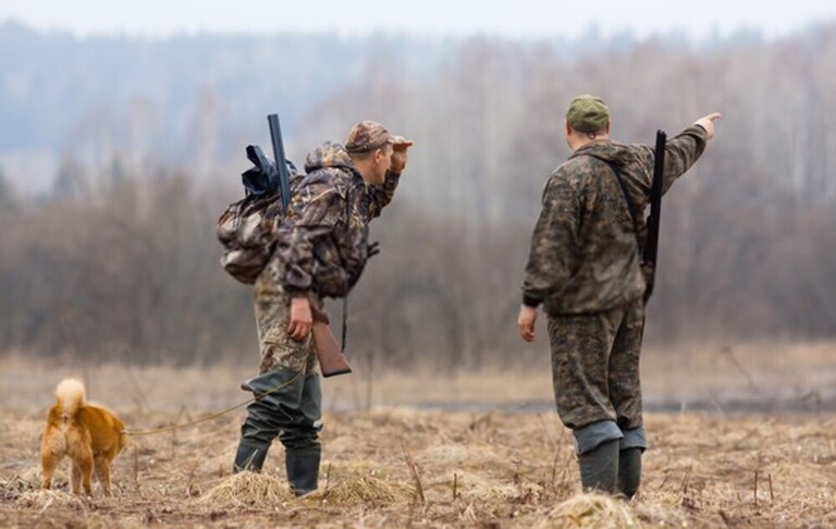 Elk Hunting Mistakes To Avoid