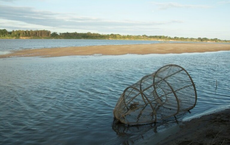Best Way To Keep Fish Fresh After Catching