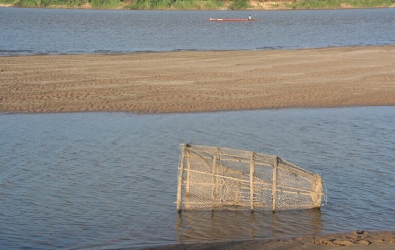 Best Way To Keep Fish Fresh After Catching