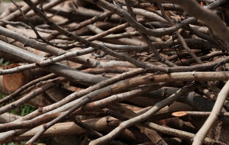 How To Build A Roaring Campfire & Keep It Burning All Night?