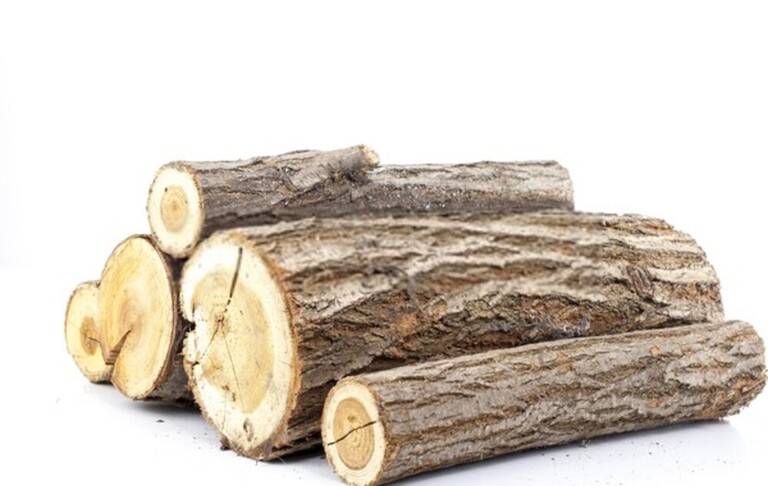 How To Build A Roaring Campfire & Keep It Burning All Night?