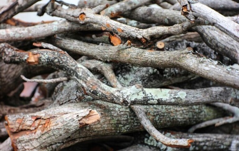 How To Build A Roaring Campfire & Keep It Burning All Night?